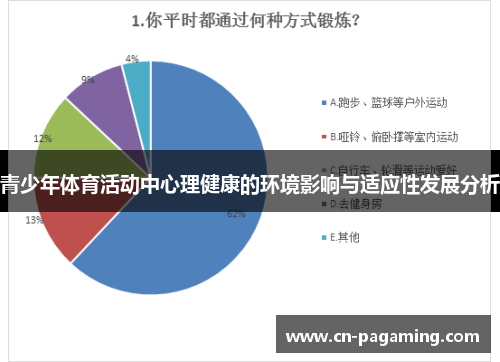 青少年体育活动中心理健康的环境影响与适应性发展分析