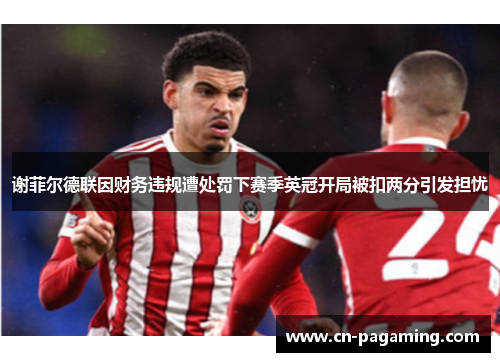谢菲尔德联因财务违规遭处罚下赛季英冠开局被扣两分引发担忧