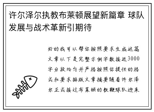许尔泽尔执教布莱顿展望新篇章 球队发展与战术革新引期待